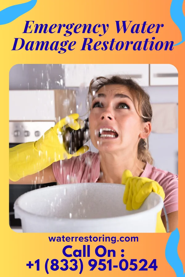 Emergency Water Damage Restoration in Kentwood, MI