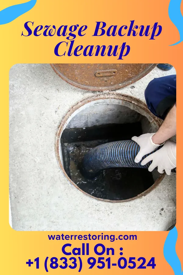 Sewage Backup Cleanup in Kentwood, MI
