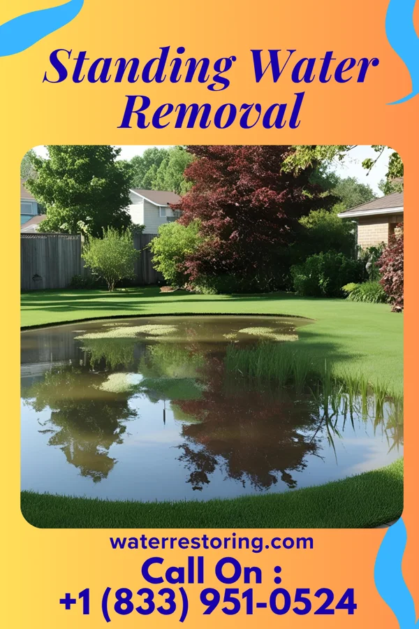 Standing Water Removal in Kentwood, MI